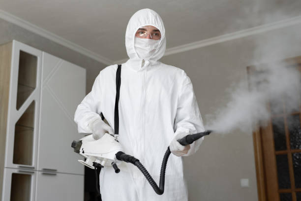 Best Attic Mold Removal  in Miller Place, NY